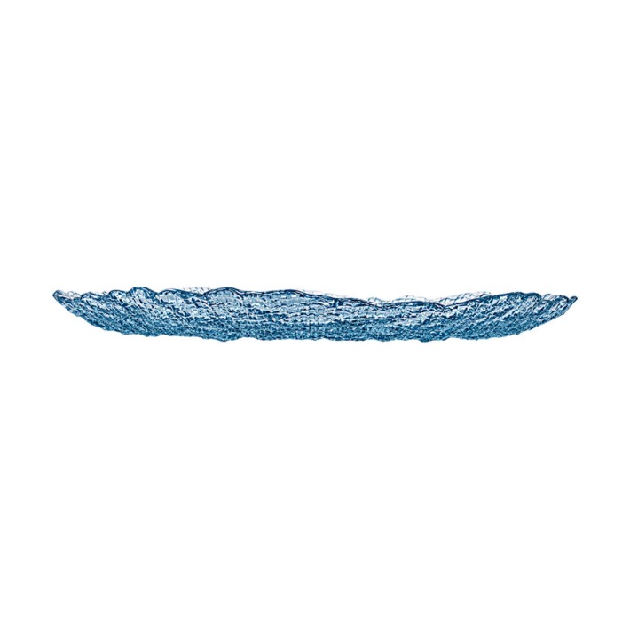 ESTIA ΔΙΣΚΟΣ ΣΕΡΒΙΡΙΣΜΑΤΟΣ ROCHE ΓΥΑΛΙΝΟΣ 32x2.9cm ΜΠΛΕ