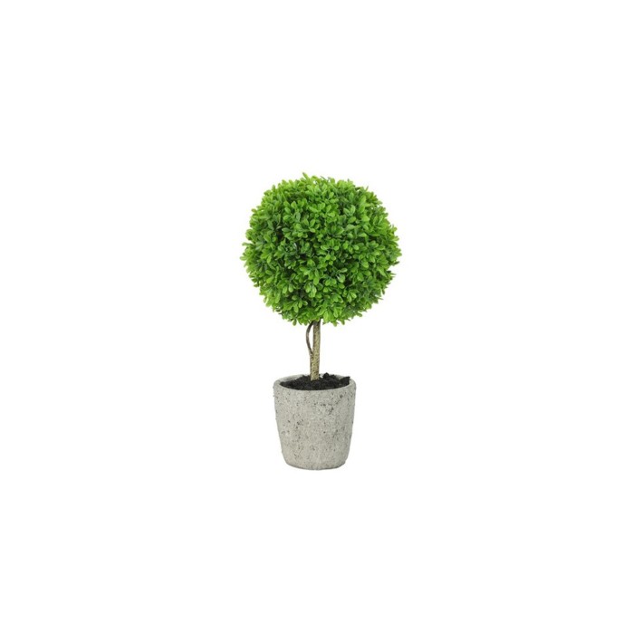 Πρασινάδα Buxus 40εκ.