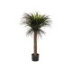 Τροπικό Yucca σε κασπώ Η150cm