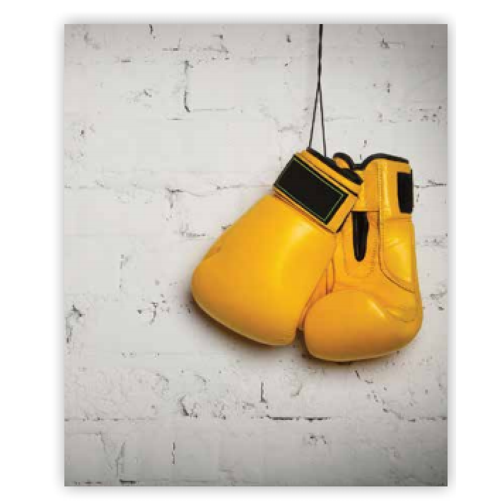 Anartisi Σύστημα Σκίασης Ρόλερ Μερικής Συσκότησης με Εκτύπωση E374