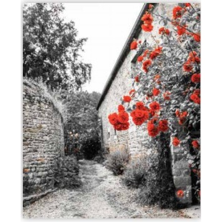 Anartisi Σύστημα Σκίασης Ρόλερ Μερικής Συσκότησης με Εκτύπωση E240