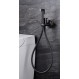 Imex Munich RDM001/BGM Σετ Εντοιχισμού Μπιντέ Black Gun Metal 
