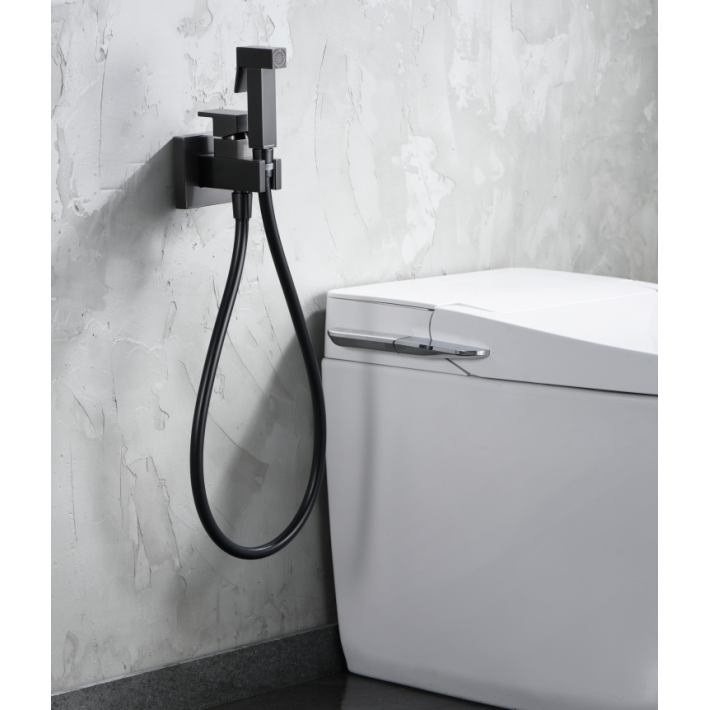 Imex Irlanda RDM003/BGM Σετ Εντοιχισμού Μπιντέ Black Gun Metal